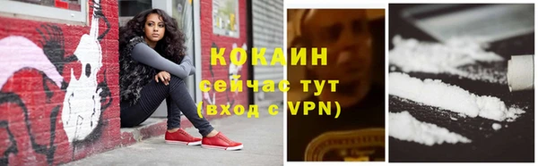 ешки Михайлов