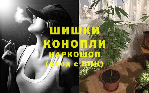 ешки Михайлов