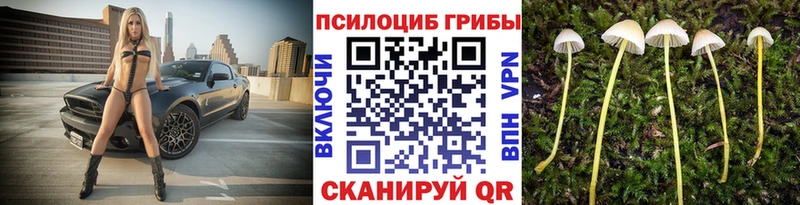 Галлюциногенные грибы ЛСД  кракен онион  Воронеж 